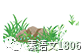 哪里可以找到关于篮球心理训练的资源_1